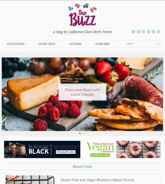 buzz_blog_1.jpg