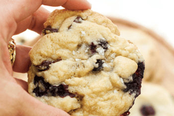 blueberry chocolate chip 600x400